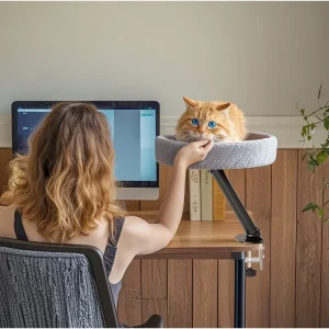 Adjustable Desktop Cat Bed – Soft Round Nest for Kittens and Indoor Cats