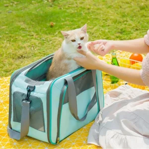 Portable Cat and Dog Carrier Bag – Comfortable Breathable Canvas Travel Bag with Spacious Design